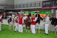 POKAZ CHAMPIONÓW 12.05.13