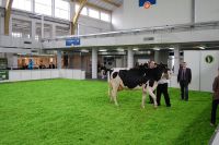 PIERWIASTKA OHZ DĘBOŁEKA z tytułem vicechampiona