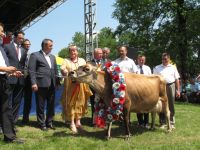 Modliszewice 2012