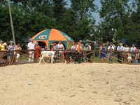 Modliszewice 2012