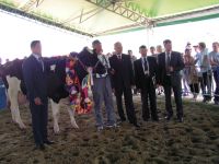 Superczempion_krow_III_laktacji_i_dalszych