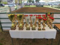 Sitno 2015