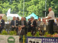 Sitno 2015