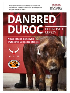 DanBred DUROC - po prostu lepszy !